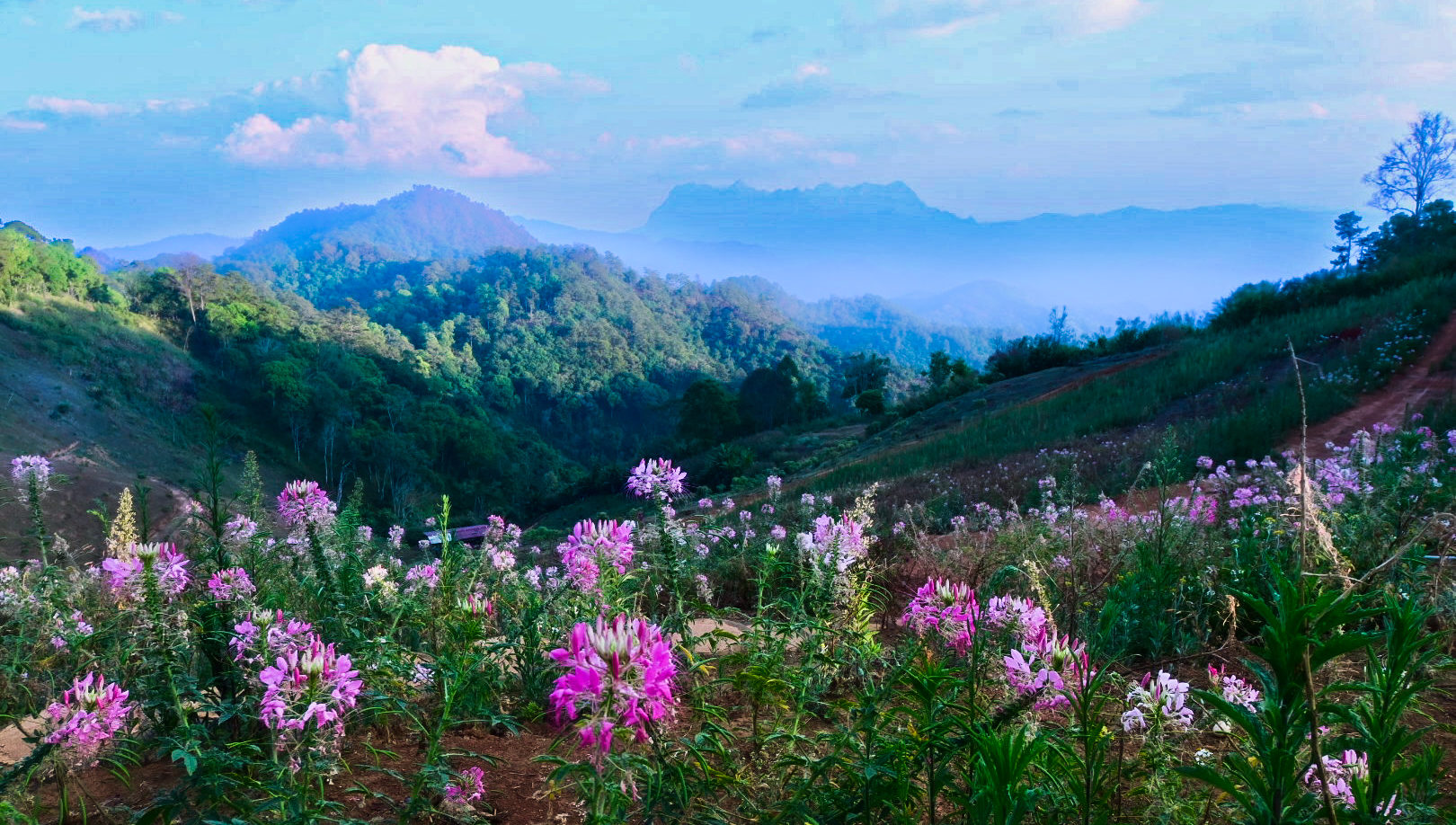 北からみたチェンダオ山